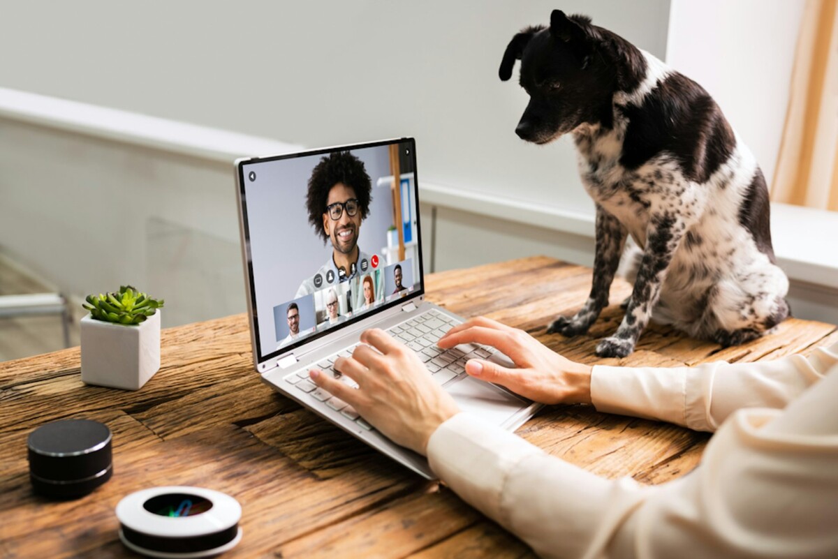 worker on video call with pet dog by her side